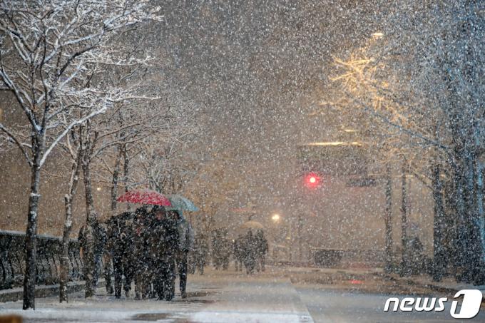 [사진] 도심 밤거리에 내리는 함박눈