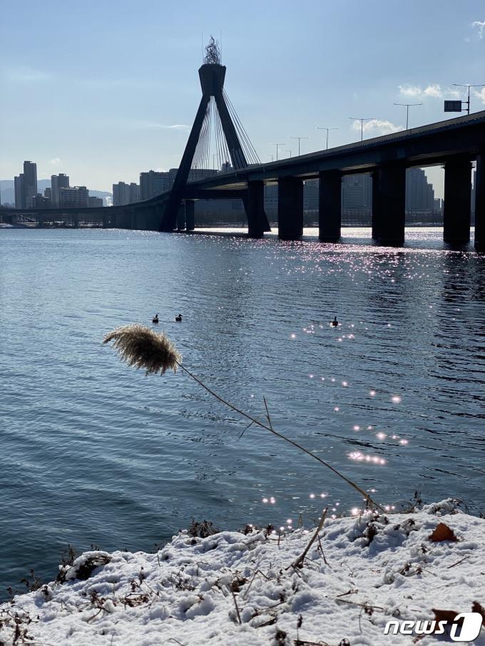 [사진] 여성 시신 발견된 올림픽대교 인근 한강