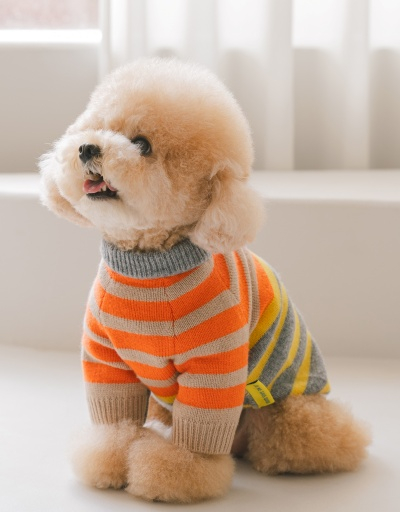 반려동물용품에 럭셔리 바람이 거세다. 사진은 품절대란으로 화제가 됐던 하울팟x주느세콰 협업 니트. /사진=신세계인터내셔날