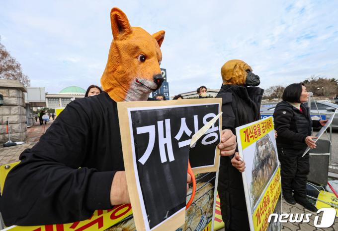 한국동물보호연합 회원들이 지난달 13일 오후 서울 영등포구 국회 앞에서 열린 '개식용 금지법' 국회 농해수위 법안 소위 통과 환영 기자회견에서 퍼포먼스를 하고 있다. 이들은 이날 기자회견에서 지난 12일 국회 농해수위 법안심사소위에서 '개식용 금지 특별법'의 통과를 환영하는 입장을 밝히며 정부와 여당, 야당이 약속대로 12월 국회 본회의에서 '개식용 금지 특별법'을 반드시 통과시켜줄 것을 촉구했다. 2023.12.13/뉴스1 ⓒ News1 김도우 기자