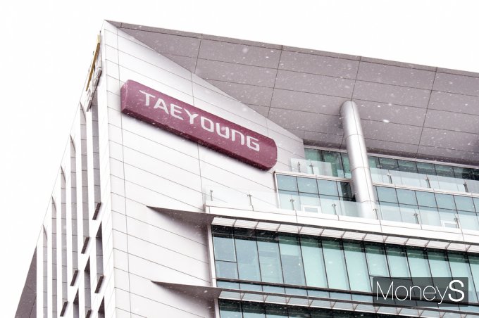 태영그룹이 태영건설 워크아웃(재무구조 개선작업)을 위해 지주회사인 티와이(TY)홀딩스와 SBS 주식도 담보로 제공할 수 있다는 입장을 내놨다./사진=임한별 기자