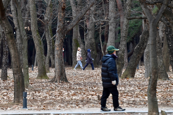 목요일인 오는 11일에는 전국이 대체로 흐리겠고 기온은 최저 영하 9도까지 떨어져 매우 춥다. 사진은 지난 9일 오전 경북 경주시 황성공원에서 아침 산책 나온 시민들이 숲길을 따라 걷는 모습. /사진=뉴스1