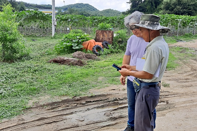 영주시가 '노지·시설 스마트팜 영농지원체계 구축 시범사업'을 추진한다./사진제공=경북 영주시