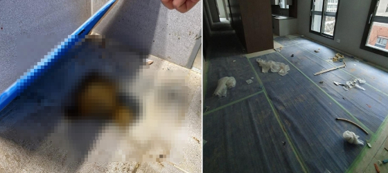 세종시의 신축 아파트 사전 점검에서 입주가 불가할 정도의 하자가 발견돼 입주예정자들의 불만이 커지고 있다. 천장은 누수로 젖고 바닥에 곰팡이로 추정되는 이물질과 인분을 덮어 놓은 휴지마저 눈에 띄었다. /사진=온라인 커뮤니티 갈무리