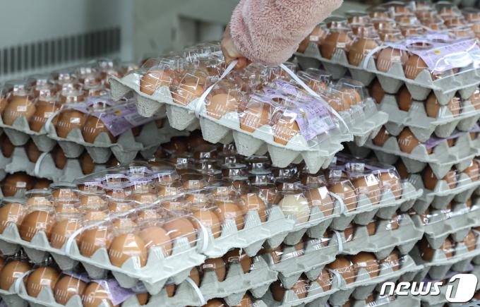 [사진] 계란 가격 '들썩'…안정화 나선 정부