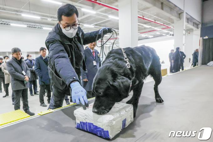 19일 오전 인천 연수구 인천세관 통합검사센터에서 탐지견이 준공식을 맞아 마약류 탐지 시범을 보이고 있다. 인천항에 흩어져 있던 기존 세관검사시설을 통합·이전한 통합검사센터는 '컨테이너검사센터', '우범화물(관리대상화물) 집중검사장', '해상특송물류센터'로 구성돼 있다. 2023.12.19/뉴스1 ⓒ News1 민경석 기자