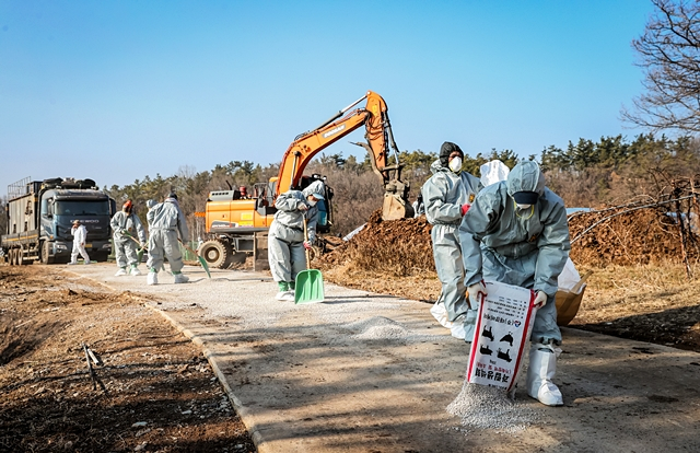 의성군이 일제 소독의 날을 지정하고, 방역 범위를 군 전체로 확대하여 대대적인 집중 방역을 시행했다./사진제공=경북 의성군