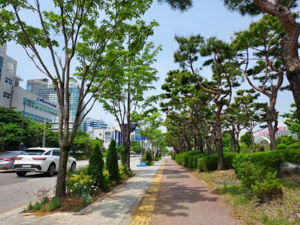 광주시청 앞 도시바람길숲./사진=광주시
