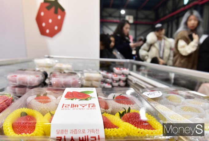 [포토스토리] 