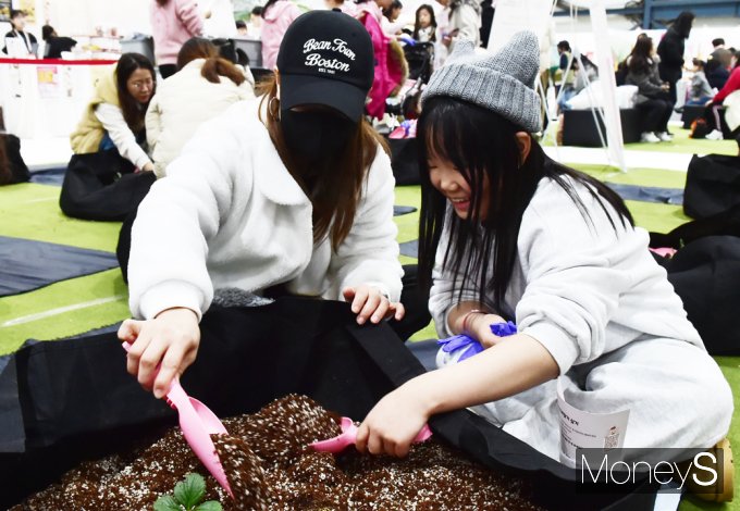 ▲ 반려동물·반려식물 No No, 이제 '반려딸기' 함께 가꿔봐요