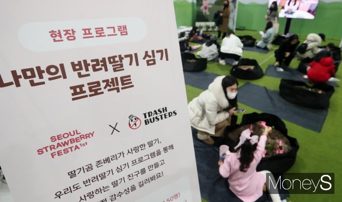 ▲  반려딸기 심으며 가족과 추억 쌓는 아이들