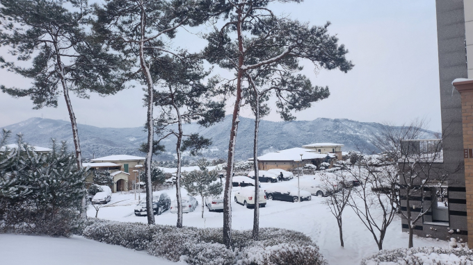 전국 대부분 지역에 한파특보가 발효된 가운데 이번 추위는 오는 24일까지 이어질 전망이며 23일 체감온도가 영하 20도까지 떨어져 추위의 절정을 찍었다. 사진은 전북지역 곳곳에 대설주의보가 발효된 23일 전북 고창군 고창읍 석정리 한 아파트 일원에 하얀 눈이 쌓여 있는 모습. /사진=뉴스1