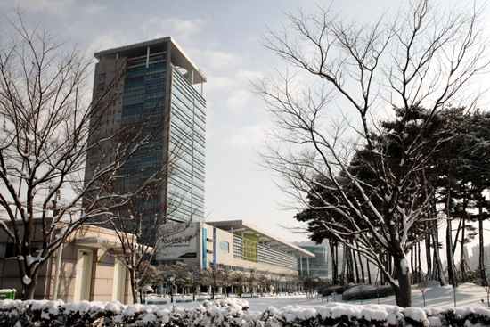 전남도, '폭설·한파'에 도민안전 신속 대응