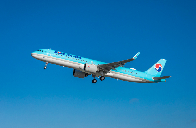 대한항공은 지난해 매출은 늘고 영업이익은 감소했다. 사진은 에어버스 A321neo /사진=대한항공