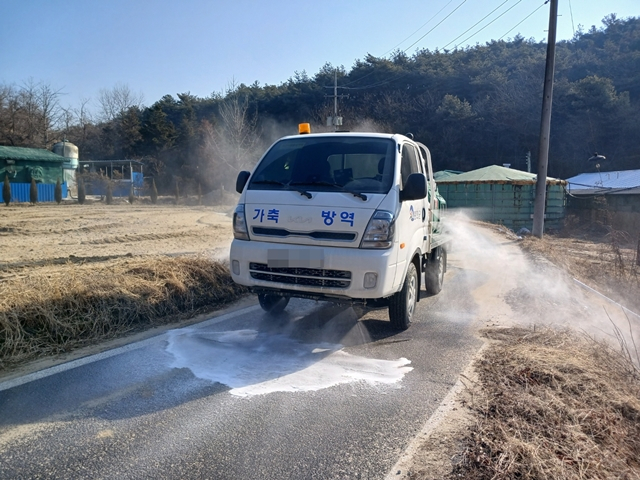 봉화군이 봉화읍 문단리 농경지의 야생멧돼지 폐사체에서 아프리카돼지열병(ASF) 바이러스가 검출됨에 따라 양돈농장으로 유입 차단을 위해 방역관리에 총력 대응하고 있다./사진제공=경북 봉화군