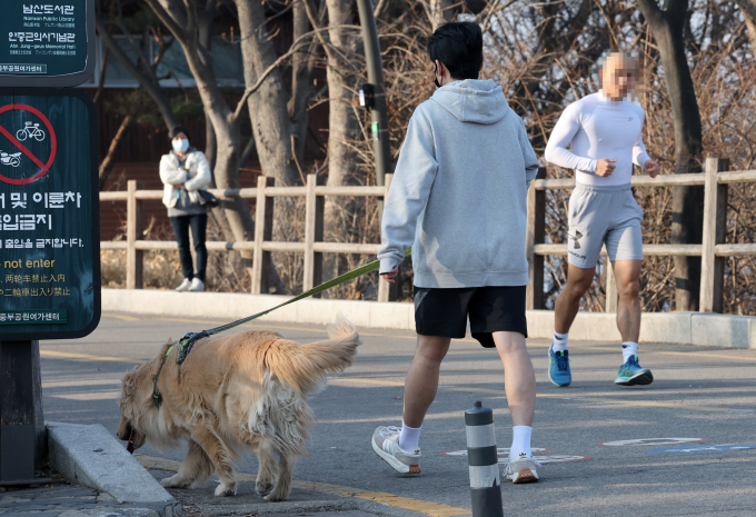 오는 3일 낮 최고 11도까지 올라가며 포근한 날씨가 예상된다. 사진은 지난달 31일 오후 서울 중구 남산에서 시민들이 산책하는 모습. /사진=뉴시스