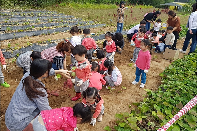  영주시가 오는 5일부터 29일까지 비농업인 세대를 대상으로 도시텃밭 참가자 220세대를 모집한다./사진제공=경북 영주시
