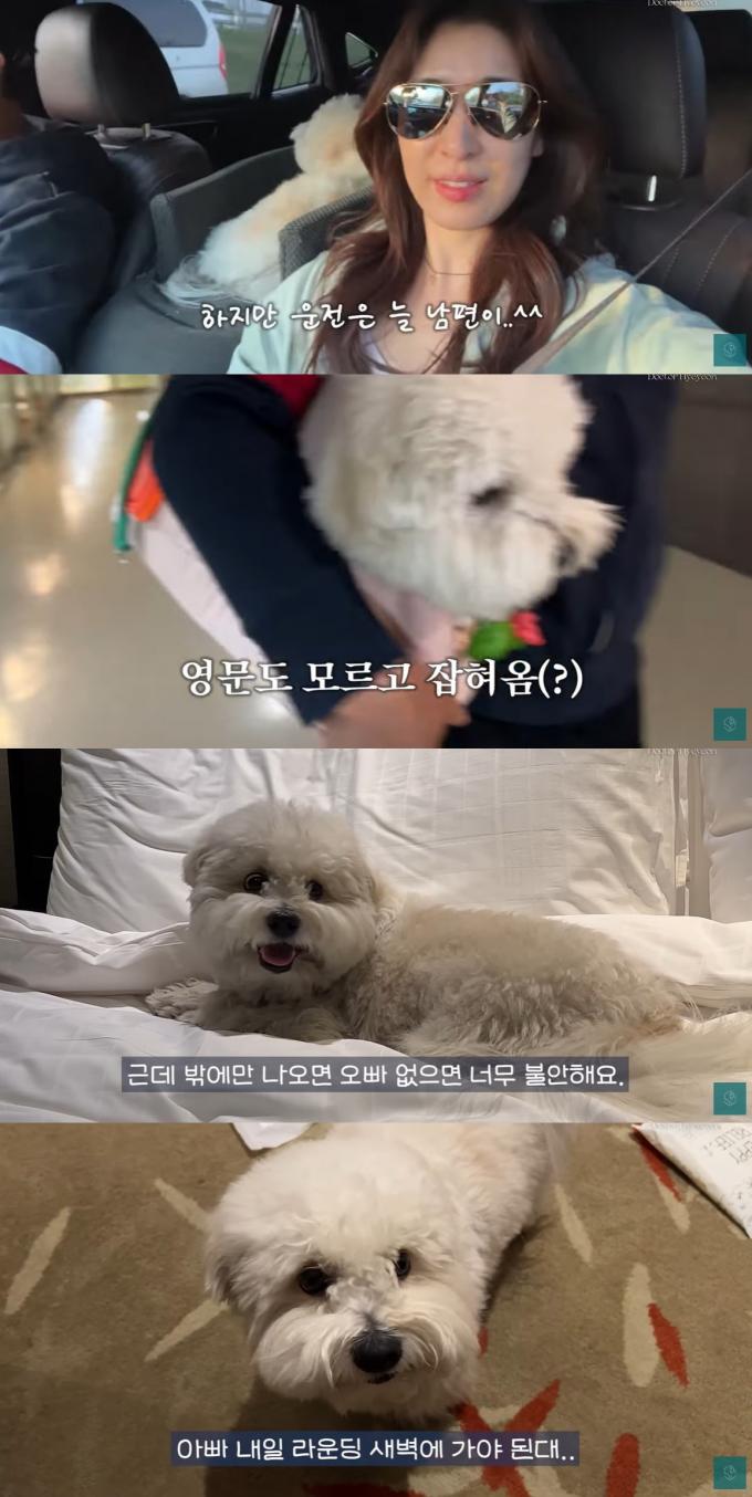 방송인 의사 민혜연 유튜브
