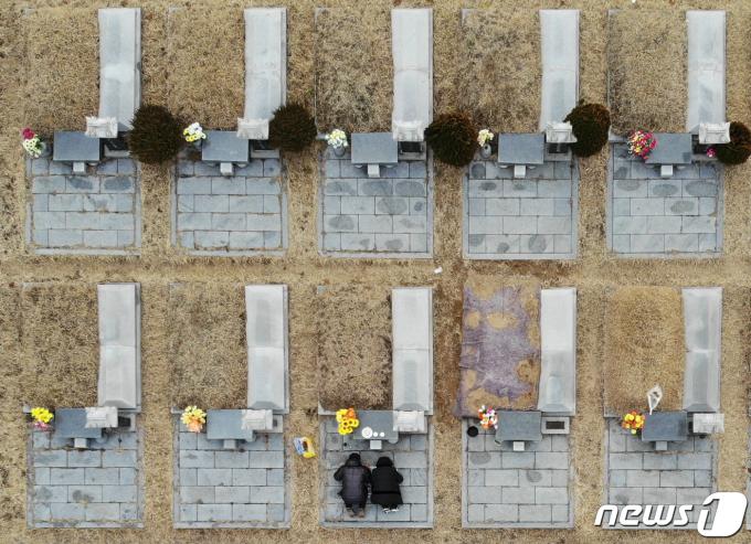 [사진] '조상님, 미리 성묘 왔습니다'