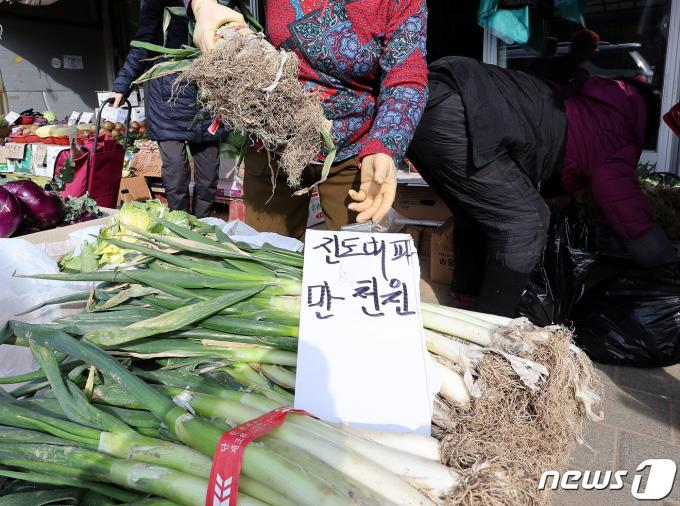 [사진] 대파가 만 천원