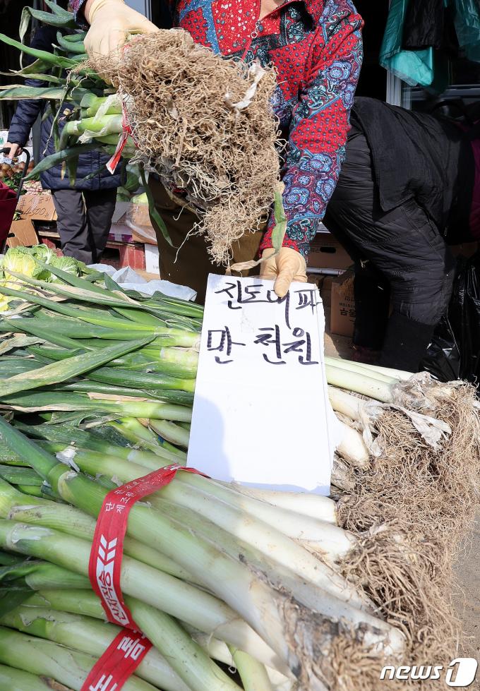 [사진] 대파 만 천원