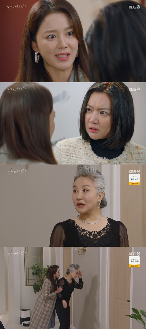 KBS 2TV '피도 눈물도 없이' 캡처