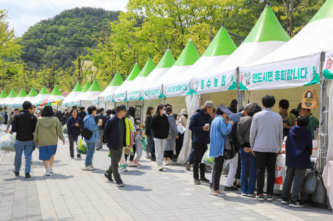 제13회 양평 산나물 축제 현장. /사진제공=양평군