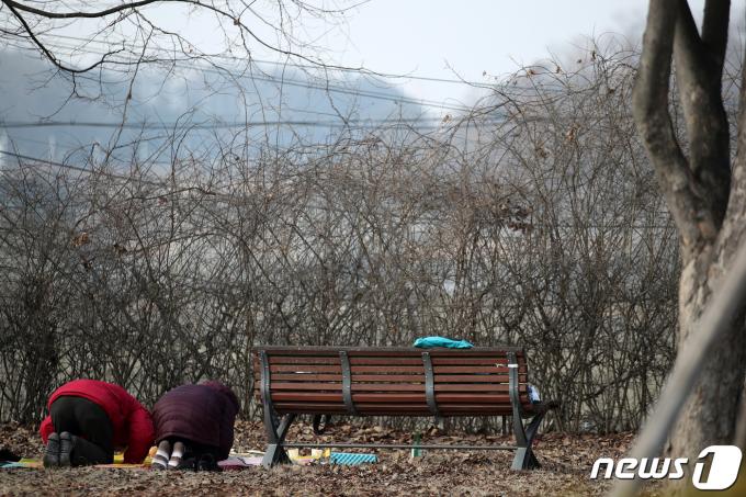 [사진] 실향민 가족의 철책 앞 차례