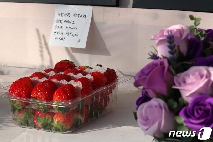 [사진] '좋아했던 딸기를 놓아두고'