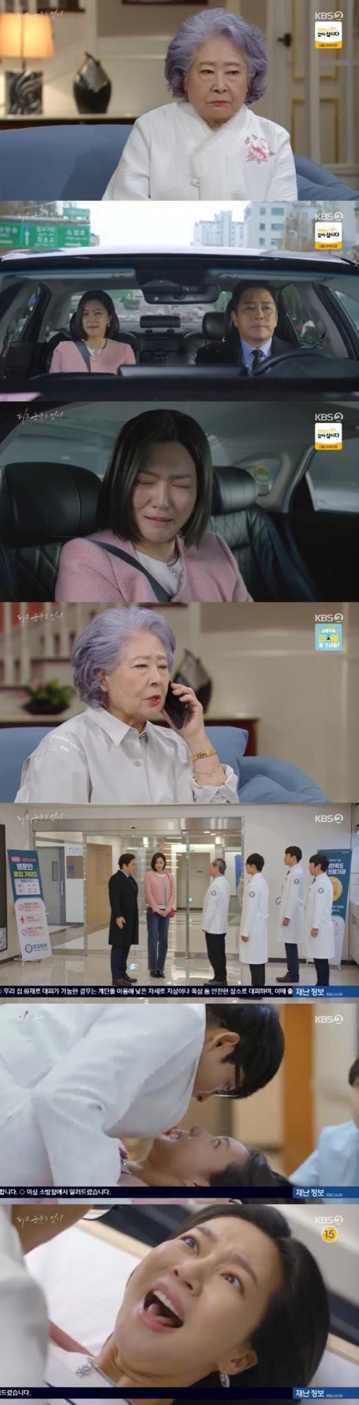 KBS 2TV '피도 눈물도 없이' 캡처