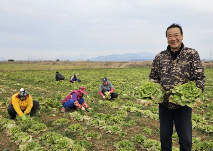 해남 황토 땅에서 겨울 해풍을 맞고 자란 '유기농 봄동배추'가 전남도 2월의 친환경농산물로 선정한 가운데 나경엽 농가가 친환경 농법으로 재배한 '유기농 봄동배추'를 선보이고 있다./사진=전남도 