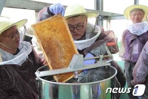 시민들이 직접 양봉 실습을 하고 있다. (서울시 제공)
