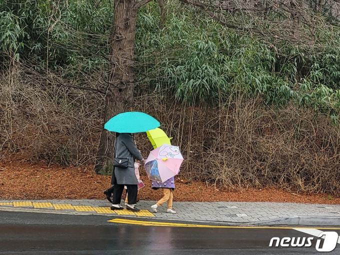경북 포항시 전역에 봄비가 내리고 있는 가운데 우산을 쓴 한 가족이 남구 지곡동 도로를 걸어가고 있다. 2024.2.20/뉴스1 ⓒ News1 최창호 기자