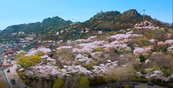                                           목포 유달산 전경/목포시