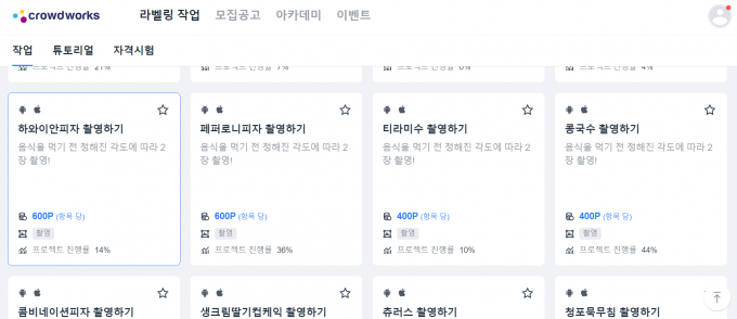 크라우드웍스 홈페이지 /사진=크라우드웍스 홈페이지 갈무리