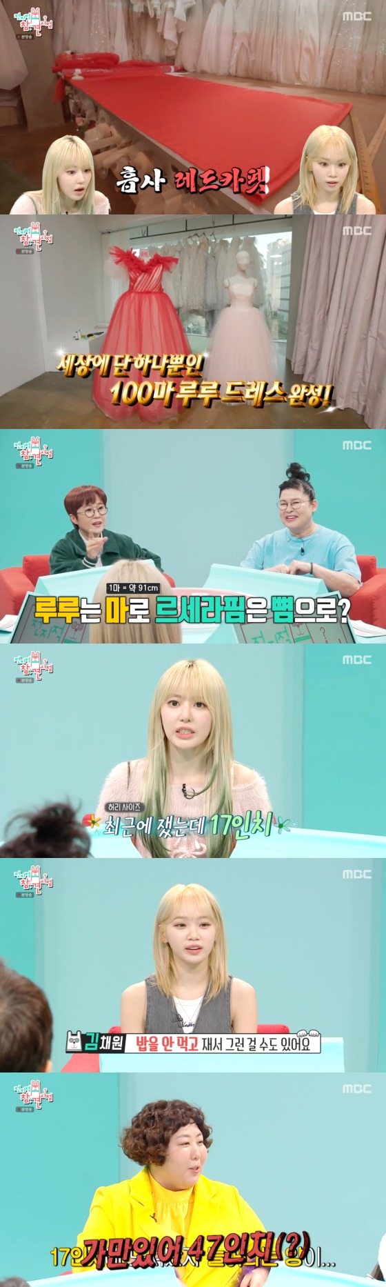 MBC '전지적 참견시점' 방송 화면 캡처