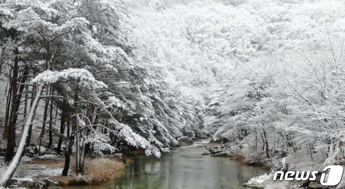 [사진] 환상적인 설경