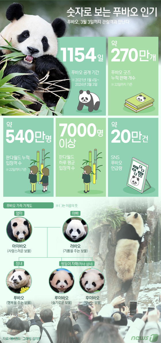 [사진] [오늘의 그래픽] 숫자로 보는 '푸바오의 한국살이'