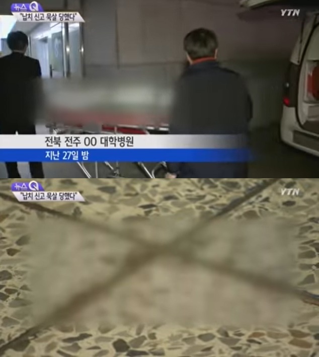 (YTN 뉴스 갈무리)