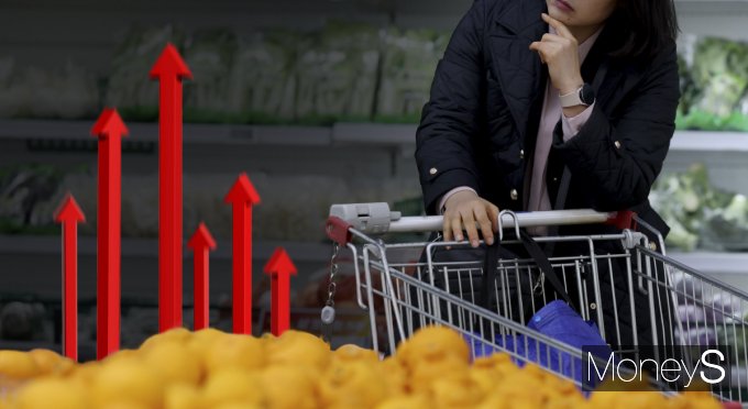 밥상물가를 비롯한 소비자물가가 상승세를 유지하고 있다. /이미지=강지호 기자