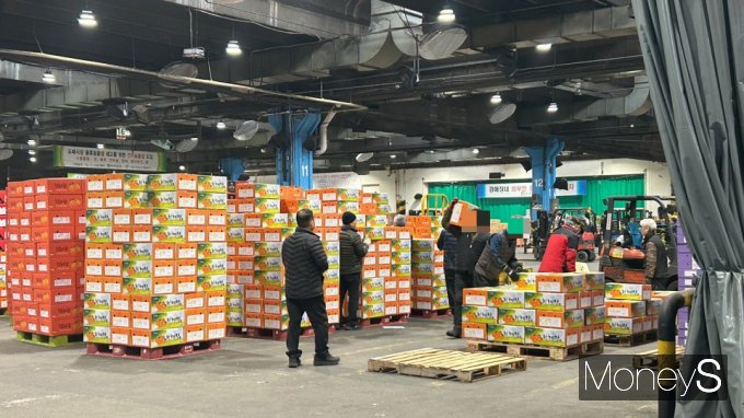 가락시장에서 상인들이 과일상자를 옮기고 있다. /사진=연희진 기자