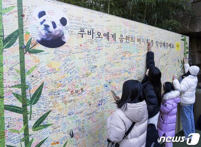 [사진] 푸바오 향한 응원 메시지