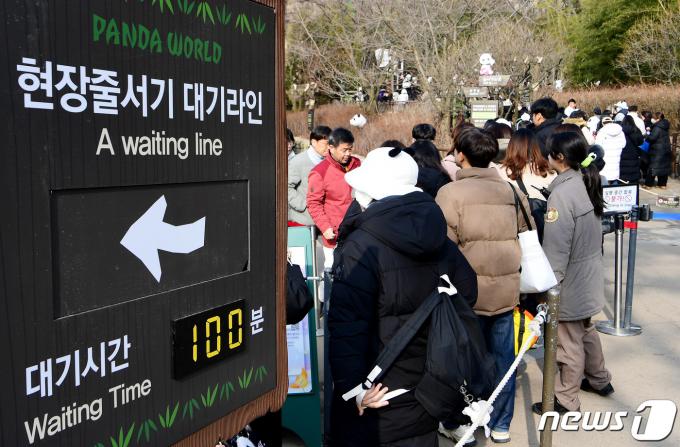 푸바오가 일반 관람객들을 만나는 마지막 날인 3일 오전 경기 용인시 에버랜드 판다월드 입구에서 관람객들이 입장을 기다리고 있다. 2024.3.3/뉴스1 ⓒ News1 사진공동취재단