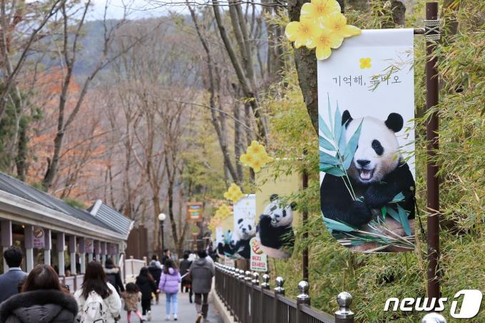 자이언트 판다 푸바오가 오는 4월 중국 이동을 앞두고 관람객들과 3일 마지막 인사를 나눴다. 에버랜드는 푸바오가 중국으로 출발하는 당일 팬들과 함께 배웅하는 환송 행사를 검토 중이다. 사진은 경기 용인시 에버랜드 판다월드에 설치된 '푸바오' 응원 배너. (삼성물산 제공) 2024.3.3/뉴스1