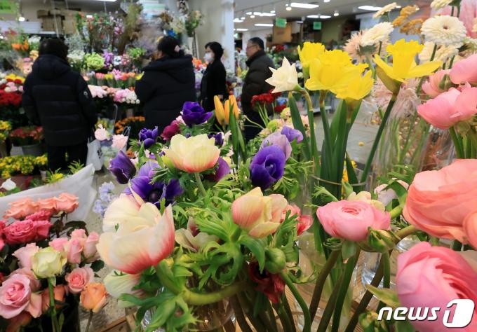 [사진] 이틀 앞둔 경칩, '봄소식 가득한 꽃시장'