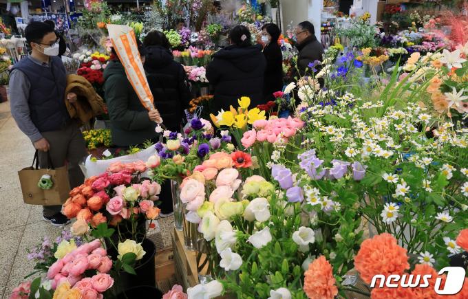 [사진] 양재꽃시장 찾은 시민들