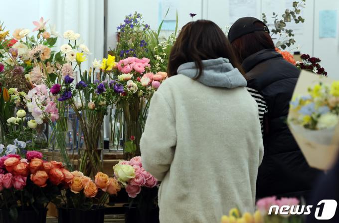 [사진] '알록달록 봄이 왔어요'