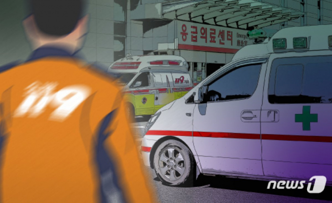                                             뉴스1