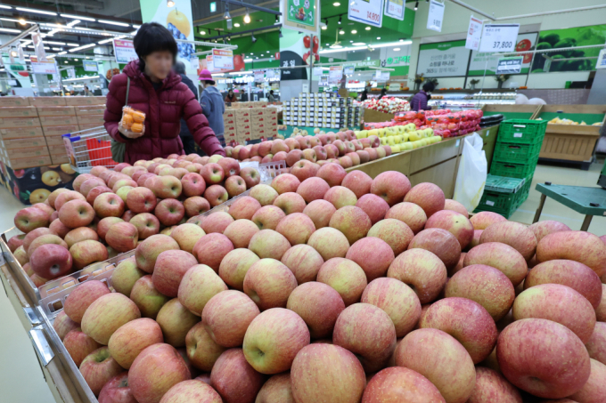 지난달 소비자물가지수가 1년 전보다 3.1% 상승해 한 달 만에 다시 3%대로 올랐다. 꺾이지 않는 물가에 금리 인하를 두고 한국은행의 고심이 깊어지고 있다. 사진은 서울 시내 대형마트에서 고객들이 장을 보고 있는 모습./사진=뉴스1
