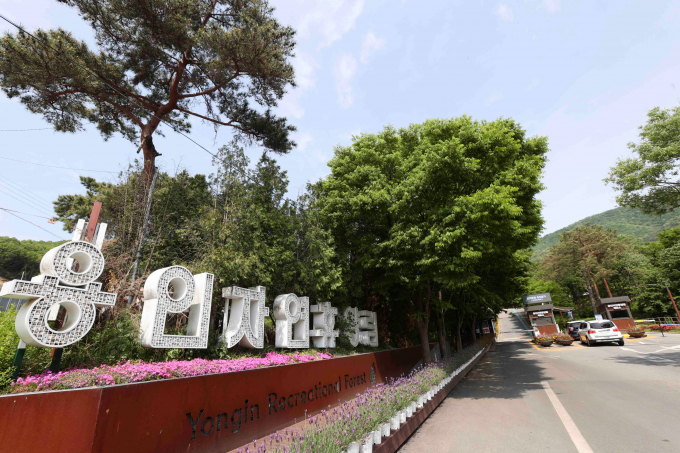  용인자연휴양림 입구 전경. / 사진제공=용인특례시